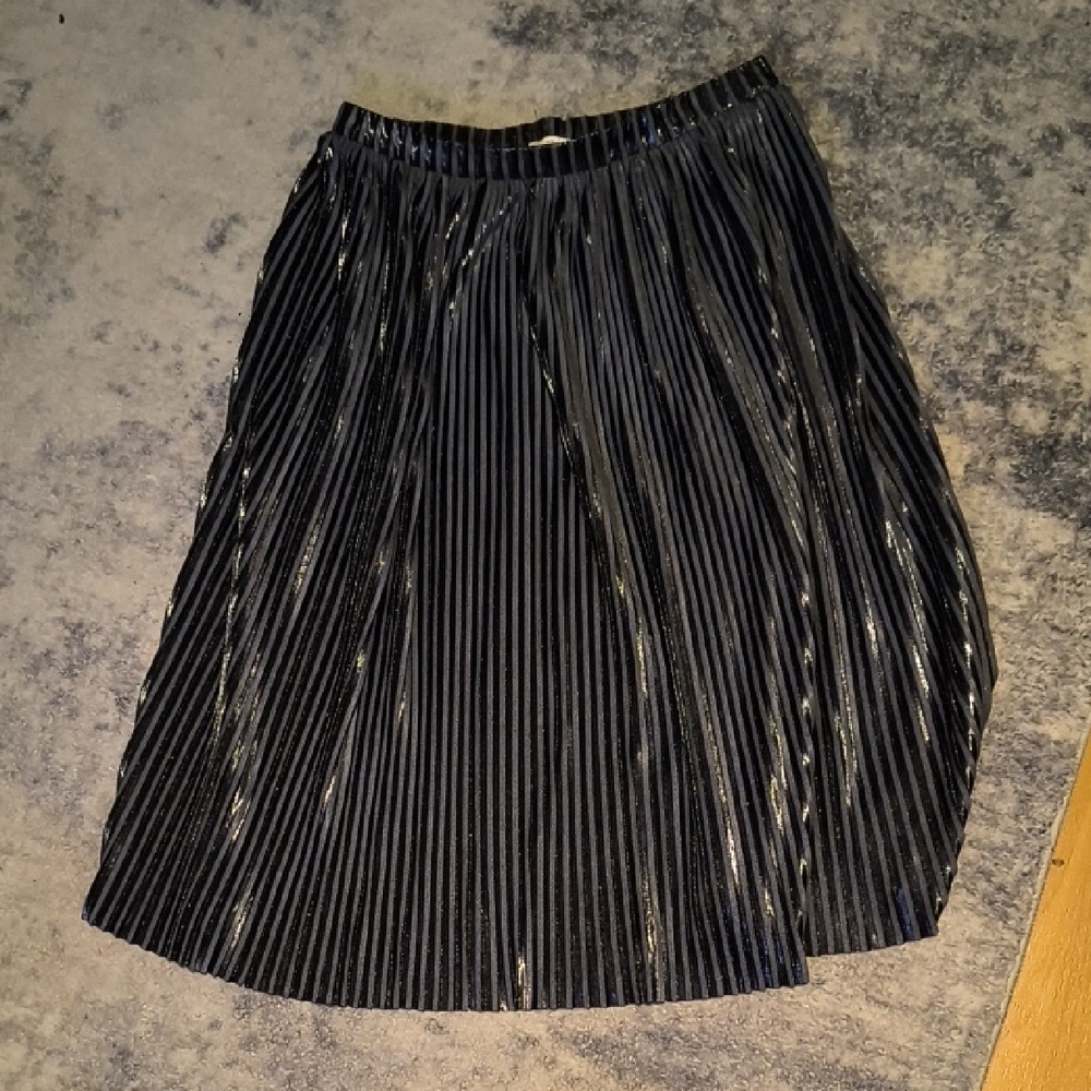 Zara | Shimmering Black A-Line Skirt
